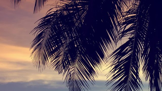 Sun light through coconut palm trees on sunset, tropical travel destination. Summer vacations