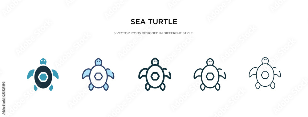 Poster sea turtle icon in different style vector illustration. two colored and black sea turtle vector icon