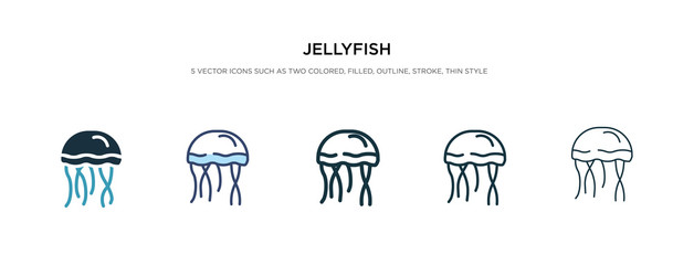 jellyfish icon in different style vector illustration. two colored and black jellyfish vector icons designed in filled, outline, line and stroke style can be used for web, mobile, ui © zaurrahimov