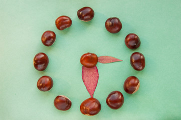 Sweet chestnuts circle on a blank green background. fresh chestnuts ready to roast showing clock and time with red leaves. Top view, copy space. Concepts: autumn, fresh, green, eco
