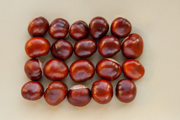 Sweet chestnuts rectangle on a blank grey background. fresh chestnuts ready to roast showing clock and time with red leaves. Top view, copy space. Concepts: autumn, fresh, green, eco