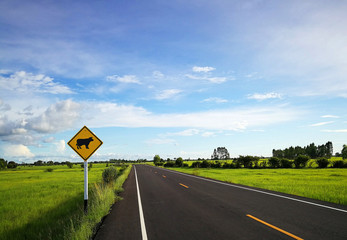 Warning signs of animals (cow) in the countryside