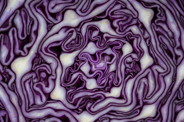 Obraz premium Background of the blue cabbage in the cut. Close up, top view. Texture raw purple cabbage
