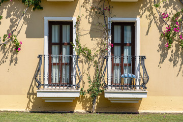 Fototapeta na wymiar Decorative balcony of a house and flower tree on the wall in Turkey