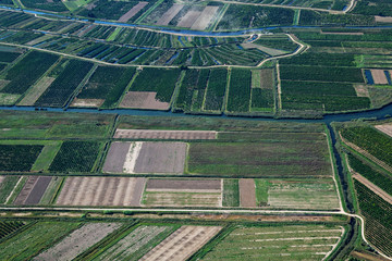 Fototapeta premium Aerial view of plantations onthe Neretva River delta, Croatia