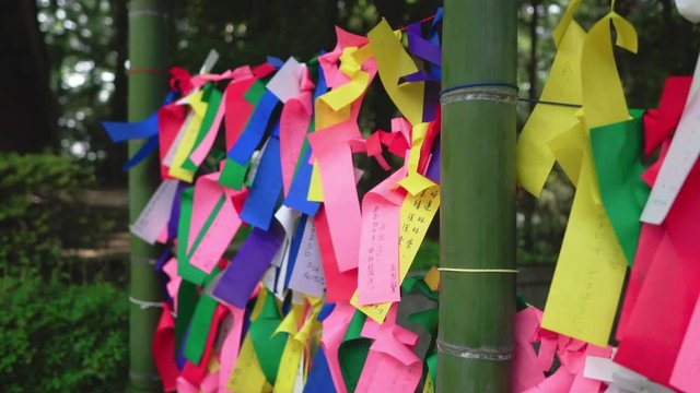 七夕のお願い 竹 伊達政宗公霊屋 瑞鳳殿