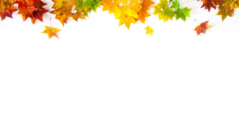 Autumn background with red, yellow, orange maple leaves