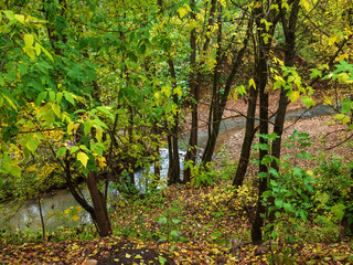 Naklejka premium Autumn, Park, stream trees.