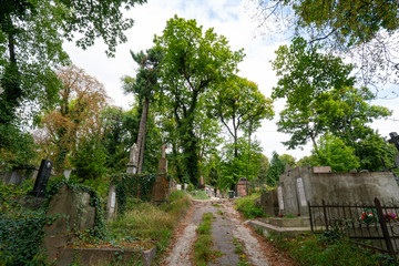 View of old cemetery covered by trees