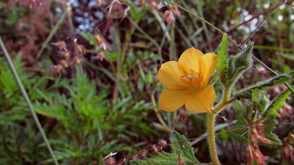 Naklejka premium the balanced brightness of a calm and clear weather