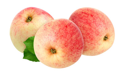 garden apples isolated on white