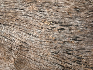 Old wooden floor for graphic design or wallpapers