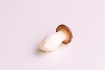 Single king trumpet mushroom (also known as french horn mushroom, king oyster mushroom or erring) centered and isolated on a white background.