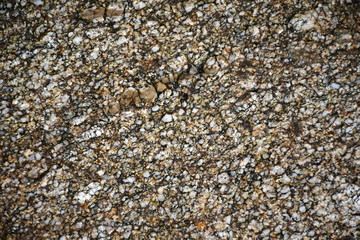 texture of stone
