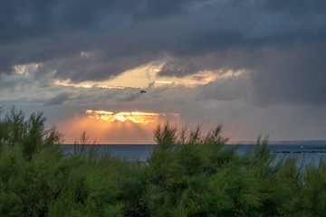 Le soir sur la côte