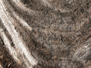 Old wooden floor for graphic design or wallpapers