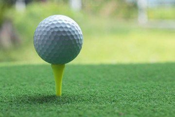 Golf ball on tee in the evening golf course with sunshine