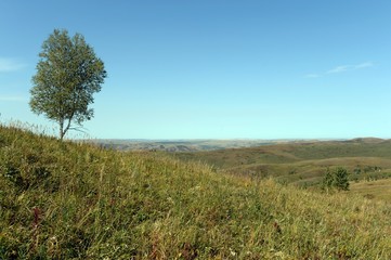 Obraz premium Foothills of the Altai Mountains. Western Siberia. Russia