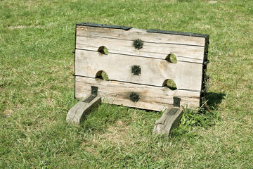 old wooden stocks