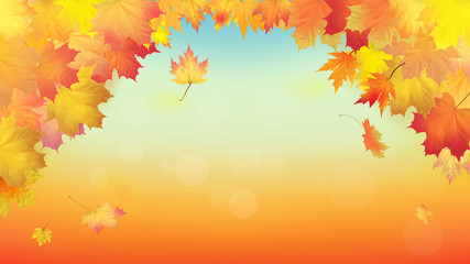Obraz na płótnie Canvas Maple leaves vector, autumn foliage. Background pattern