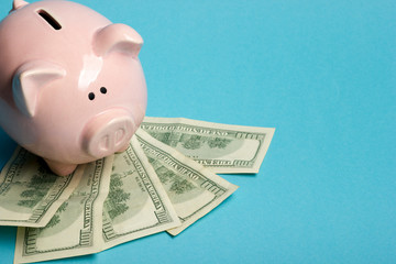 Piggy bank and golden coin. Savings and finance concept