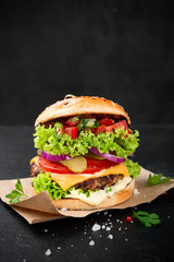 Delicious fresh homemade burger with salsa sauce.