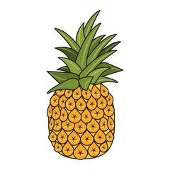 pineapple fruit icon