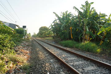 Obraz premium My Backyard In The Evening