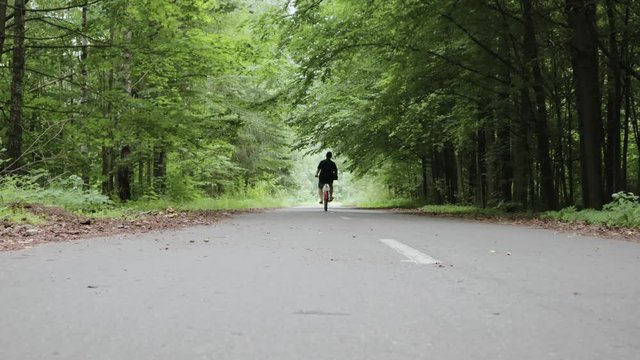 A young, bearded man rides a red bike-chopper on an asphalt road winding through tall green trees on a Sunny summer evening. He enjoys nature and breathes fresh air, enjoys walking