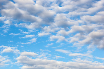 clouds of an average tier high cumulus, on a blue background of the sky