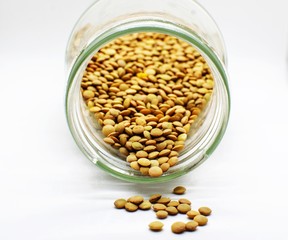  Lentils in a bowl isolated on white background.