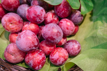 A pile of fresh organic ripe sweet red juicy plum fruit in the wicker basket.