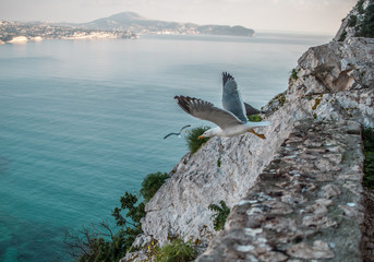 Peñón de Ifach