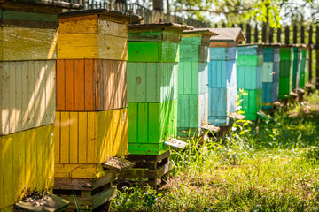 Handmade beehives with bees in countryside, Poland