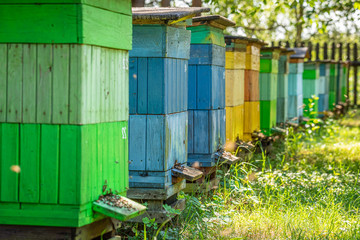 Fototapeta na wymiar Ecological apiary with bees in countryside, Poland