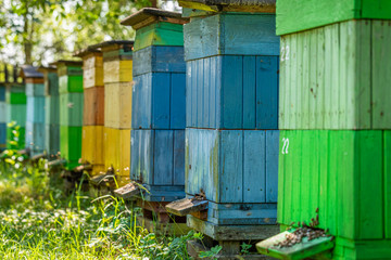 Fototapeta na wymiar Colorful apiary in summer sunny day, Europe
