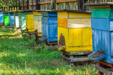 Old apiary in countryside, Poland in summer