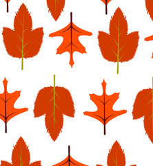 leaves, background, autumn expand icon on white background