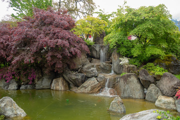 Beautiful garden with pond and small waterfall for background and copy space