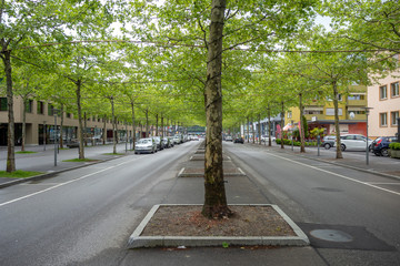 Beautiful Interlaken street with fresh green trees and colorful buildings for background and copy space