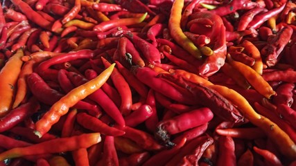 Many red-orange peppers began to haggard.