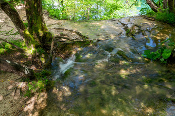 Pure fresh water of a small creek disappearing into a hole in the ground beneath a tree in the forest at the Plitvice Lakes National Park in Croatia