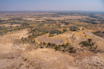 Aerial of Okavango Delta with Dry Savanna, Trees and Watercourses