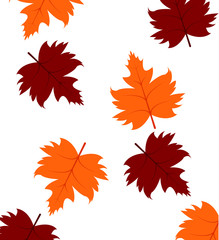 Fototapeta premium leaves, background, autumn expand icon on white background