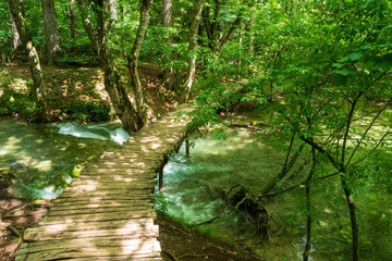 Obraz premium Wooden walkway leading over a small creek deep in the forest at the Plitvice Lakes National Park, Croatia