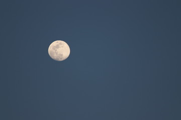 Full moon in the sky