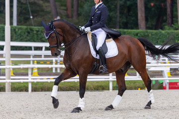 Obraz premium 馬事公苑#9