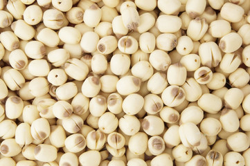 Many lotus seeds as background