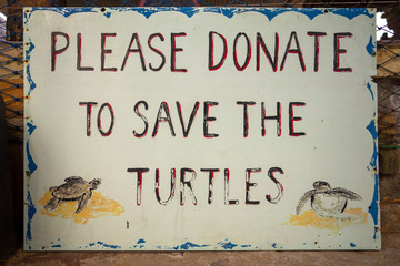 Save the turtles sign