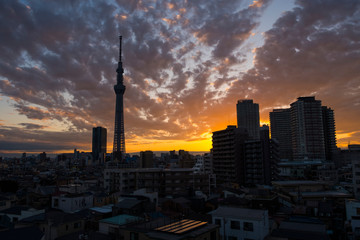TokyoSkyTree
